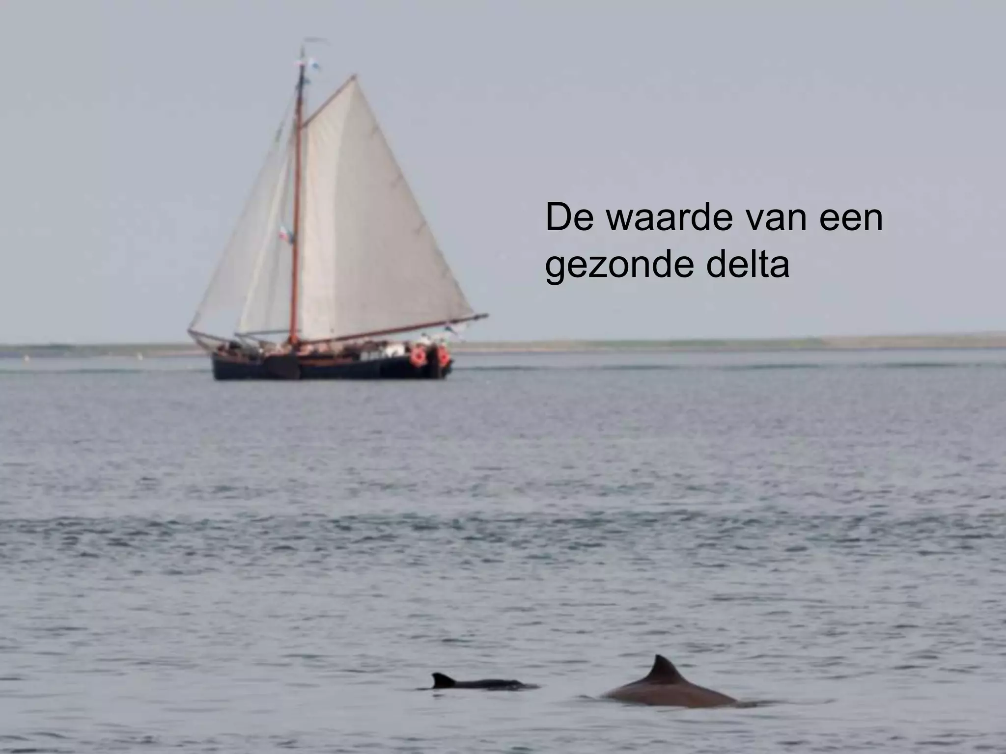 Home   Organisatie   Natuurbescherming   Projecten   Marketing en Communicatie   Contact




                                              De waarde van een
                                              gezonde delta
 