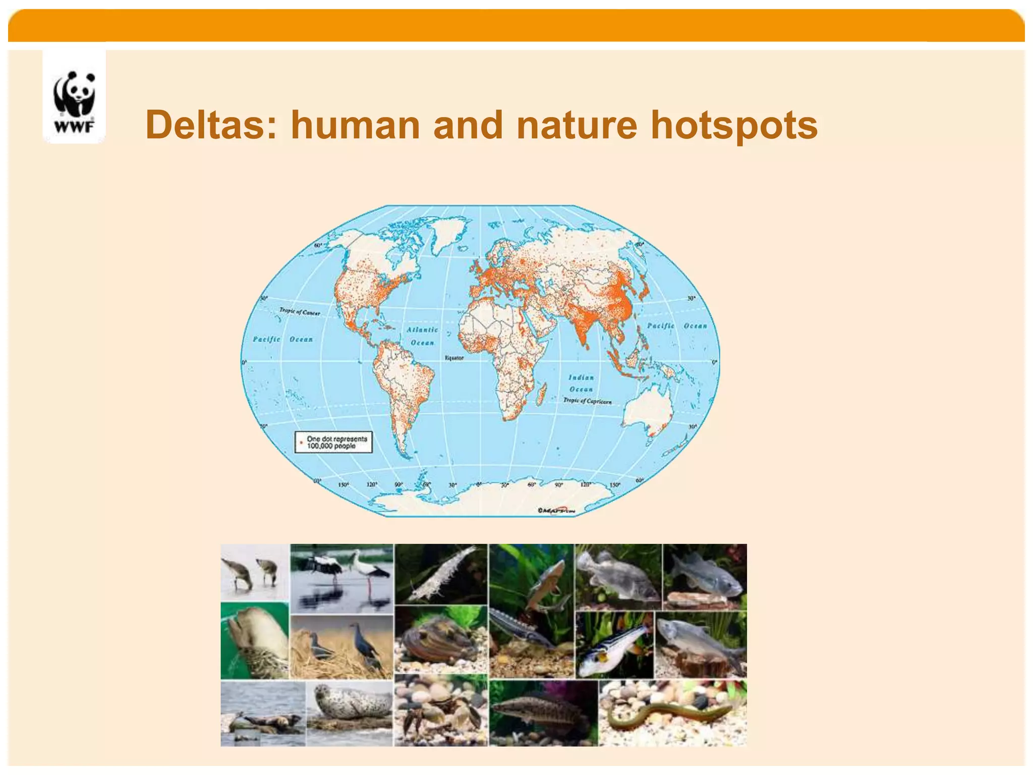 Home   Organisatie   Natuurbescherming   Projecten   Marketing en Communicatie   Contact




       Deltas: human and nature hotspots
 
