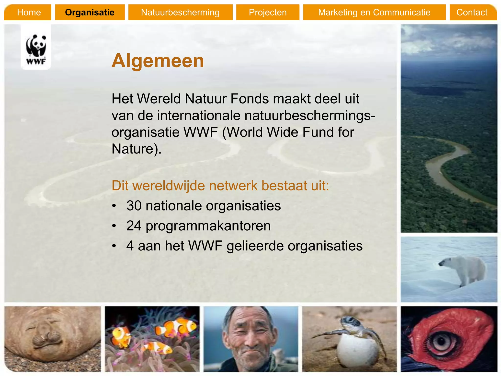 Home   Organisatie   Natuurbescherming   Projecten   Marketing en Communicatie   Contact




                 Algemeen
                 Het Wereld Natuur Fonds maakt deel uit
                 van de internationale natuurbeschermings-
                 organisatie WWF (World Wide Fund for
                 Nature).

                 Dit wereldwijde netwerk bestaat uit:
                 • 30 nationale organisaties
                 • 24 programmakantoren
                 • 4 aan het WWF gelieerde organisaties
 