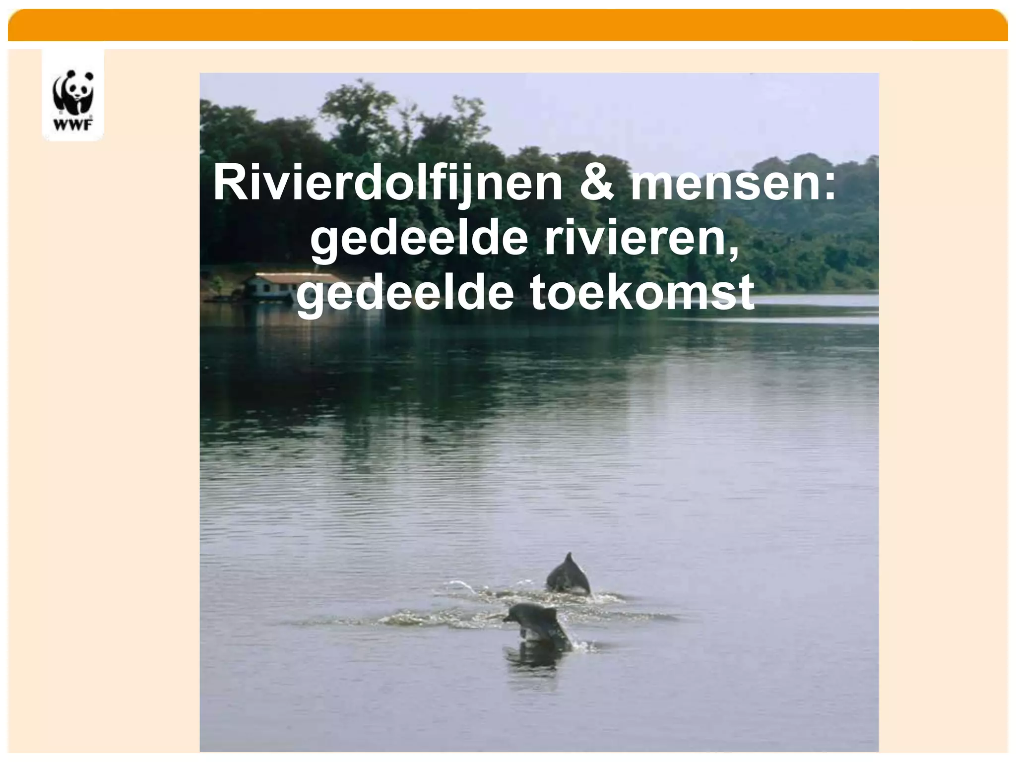 Home   Organisatie   Natuurbescherming   Projecten   Marketing en Communicatie   Contact




               Rivierdolfijnen & mensen:
                   gedeelde rivieren,
                  gedeelde toekomst
 