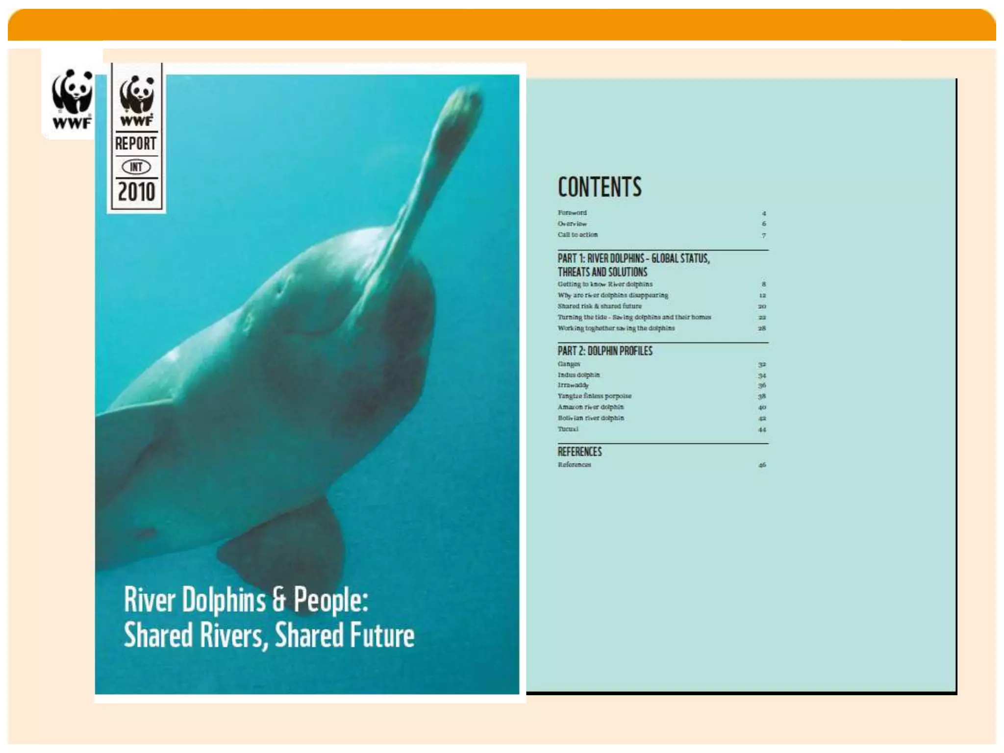 Home   Organisatie   Natuurbescherming   Projecten   Marketing en Communicatie   Contact
 