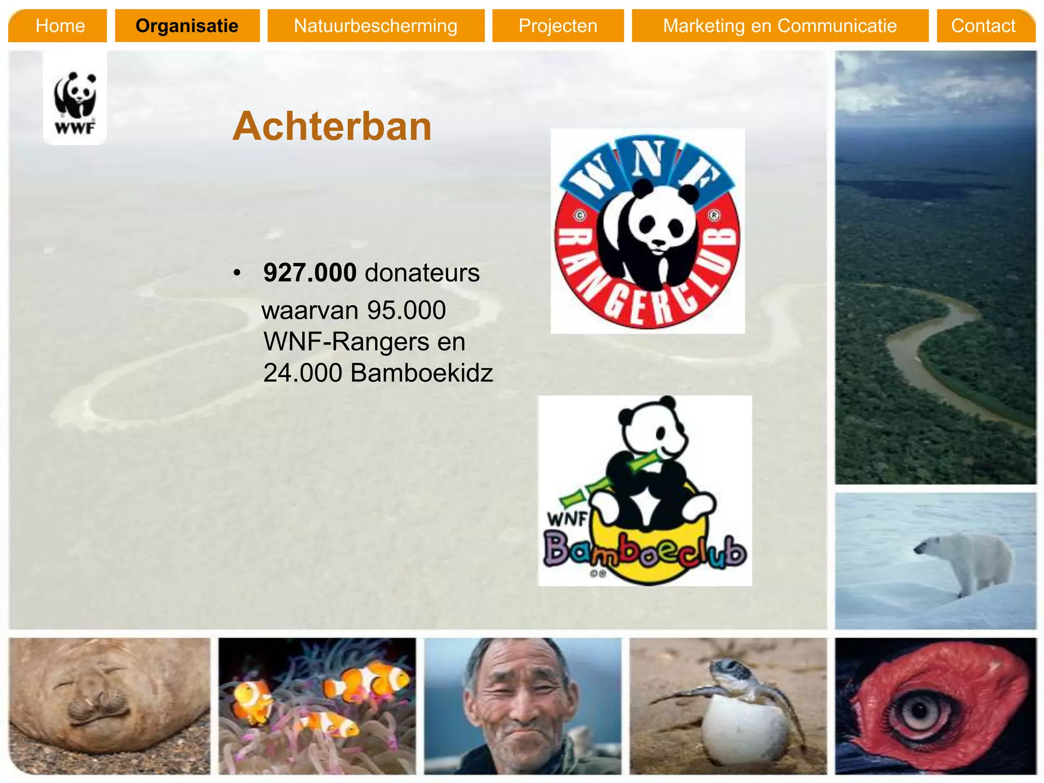 Home   Organisatie   Natuurbescherming   Projecten   Marketing en Communicatie   Contact




                 Achterban


                 • 927.000 donateurs
                   waarvan 95.000
                   WNF-Rangers en
                   24.000 Bamboekidz
 
