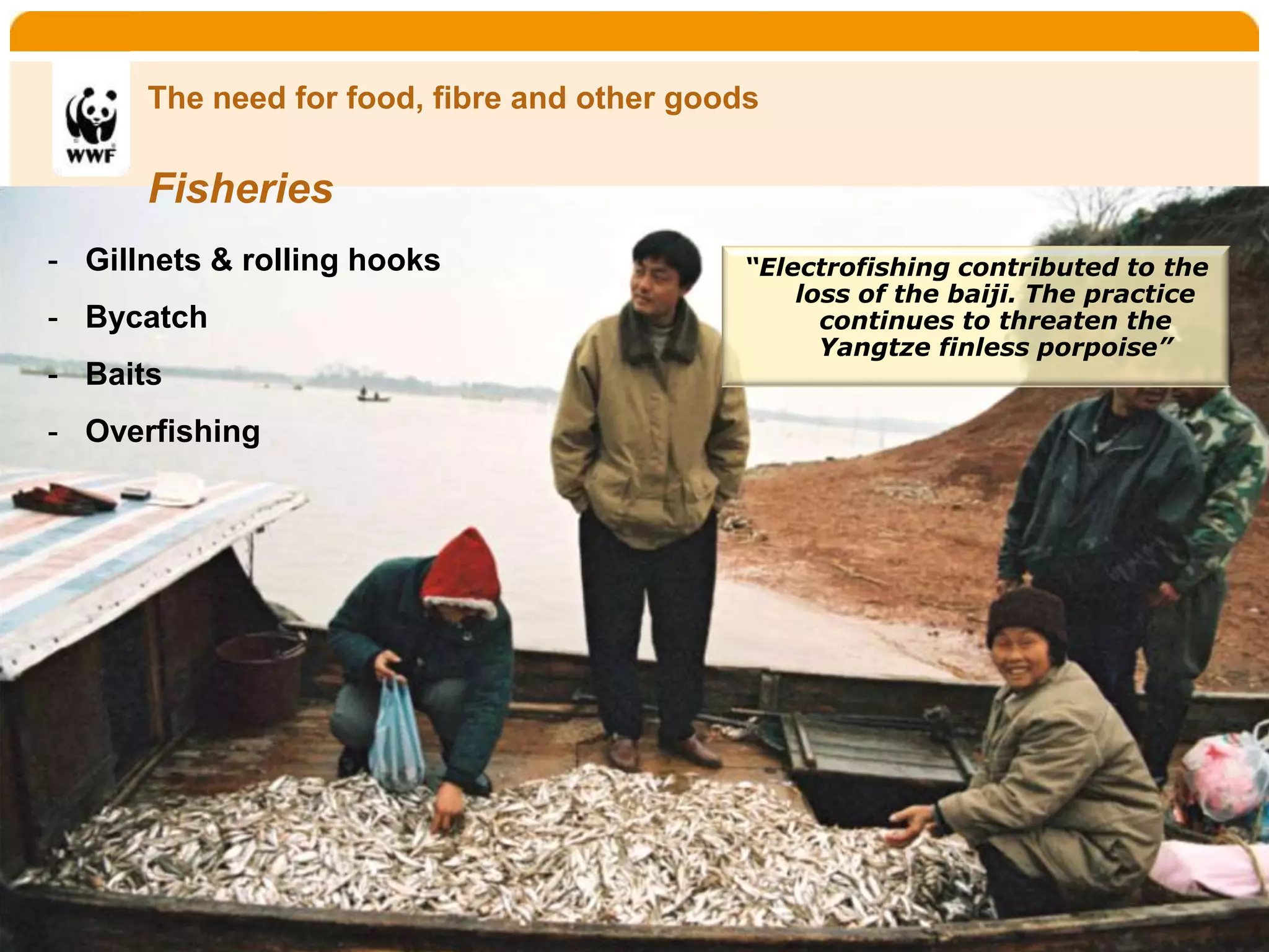 Home      Organisatie   Natuurbescherming   Projecten       Marketing en Communicatie   Contact


       The need for food, fibre and other goods

       Fisheries
- Gillnets & rolling hooks                              “Electrofishing contributed to the
                                                            loss of the baiji. The practice
- Bycatch                                                     continues to threaten the
                                                              Yangtze finless porpoise”
- Baits
- Overfishing
 