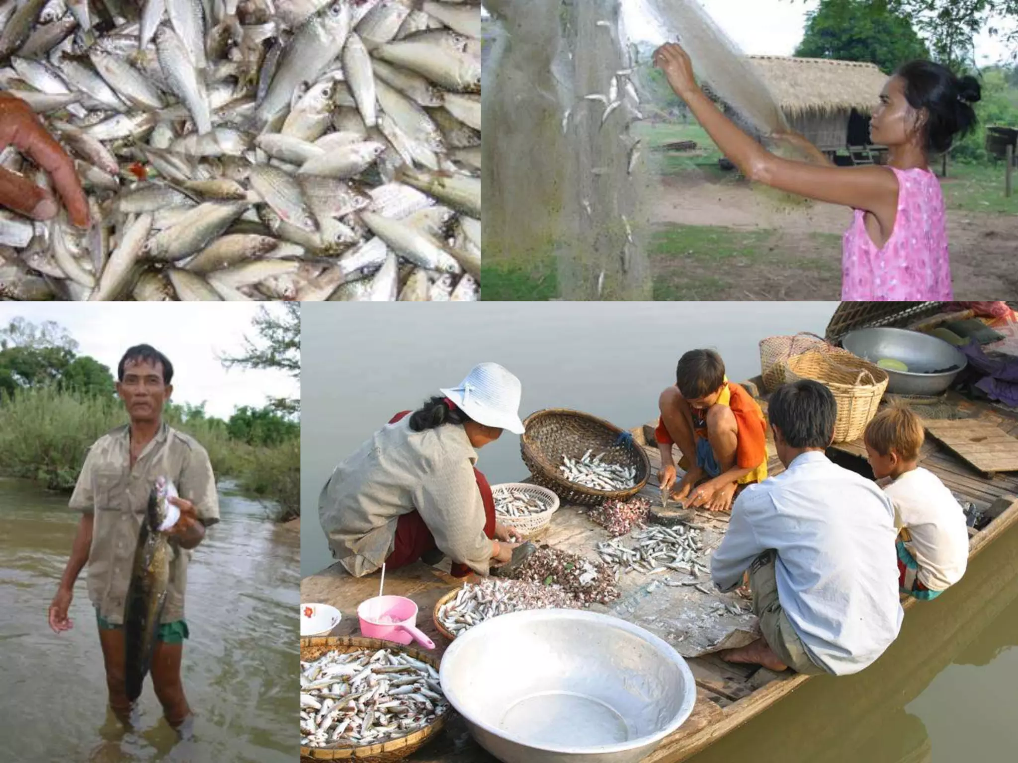 Home   Organisatie   Natuurbescherming   Projecten   Marketing en Communicatie   Contact
 