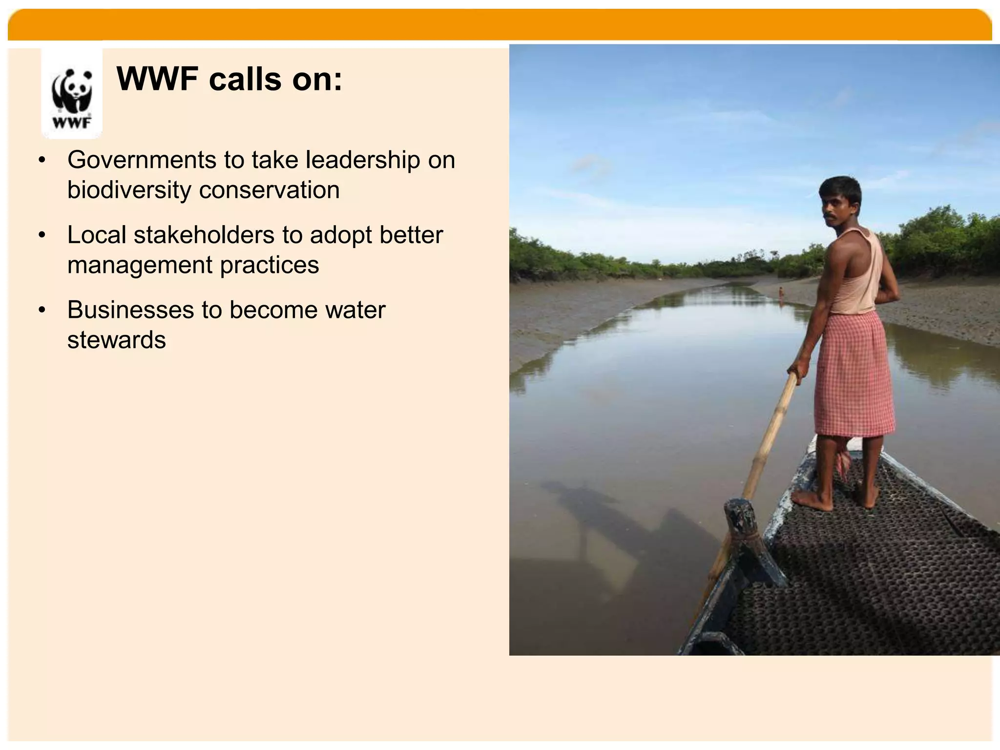 Home    Organisatie   Natuurbescherming   Projecten   Marketing en Communicatie   Contact


       WWF calls on:

• Governments to take leadership on
  biodiversity conservation
• Local stakeholders to adopt better
  management practices
• Businesses to become water
  stewards
 