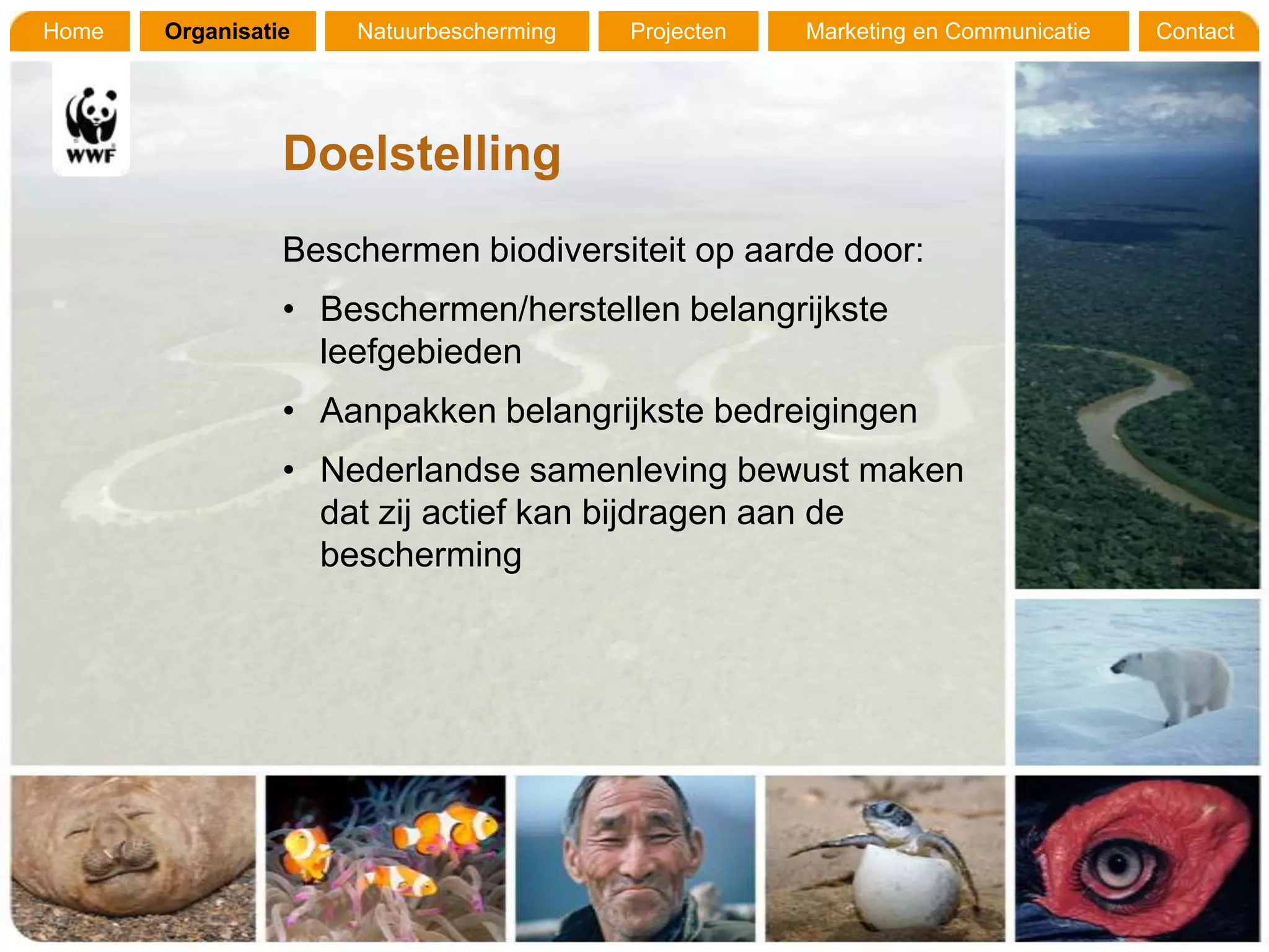 Home   Organisatie   Natuurbescherming   Projecten   Marketing en Communicatie   Contact




                 Doelstelling
                 Beschermen biodiversiteit op aarde door:
                 • Beschermen/herstellen belangrijkste
                   leefgebieden
                 • Aanpakken belangrijkste bedreigingen
                 • Nederlandse samenleving bewust maken
                   dat zij actief kan bijdragen aan de
                   bescherming
 