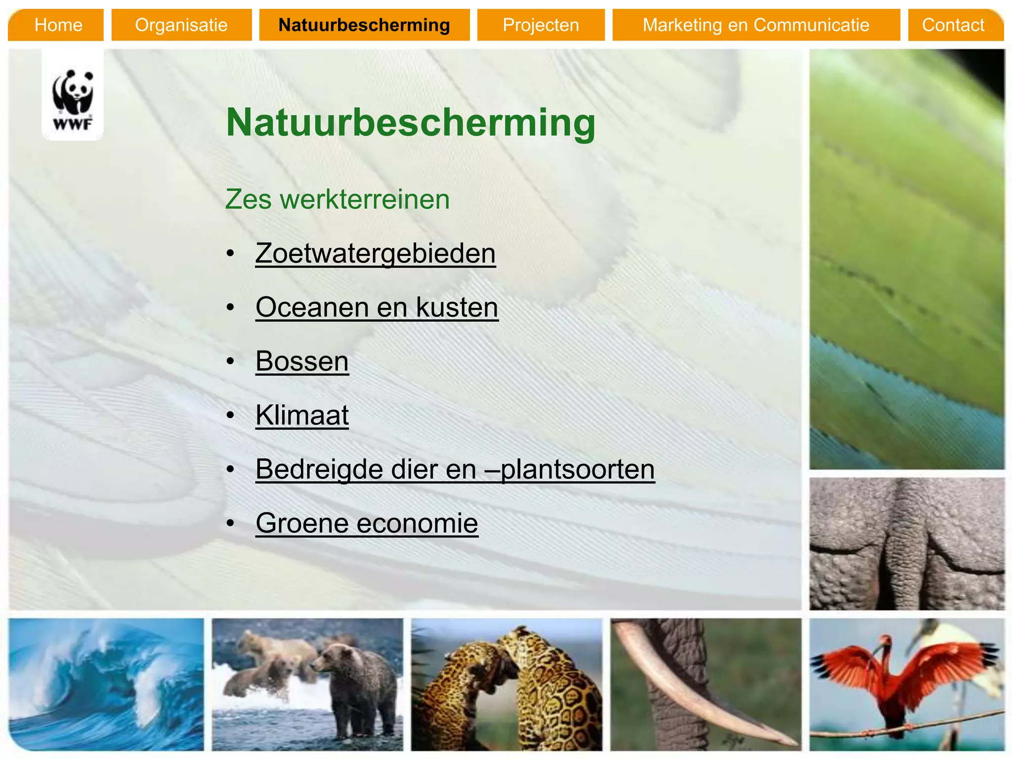 Home   Organisatie   Natuurbescherming   Projecten   Marketing en Communicatie   Contact




                 Natuurbescherming
                 Zes werkterreinen
                 • Zoetwatergebieden
                 • Oceanen en kusten
                 • Bossen
                 • Klimaat
                 • Bedreigde dier en –plantsoorten
                 • Groene economie
 