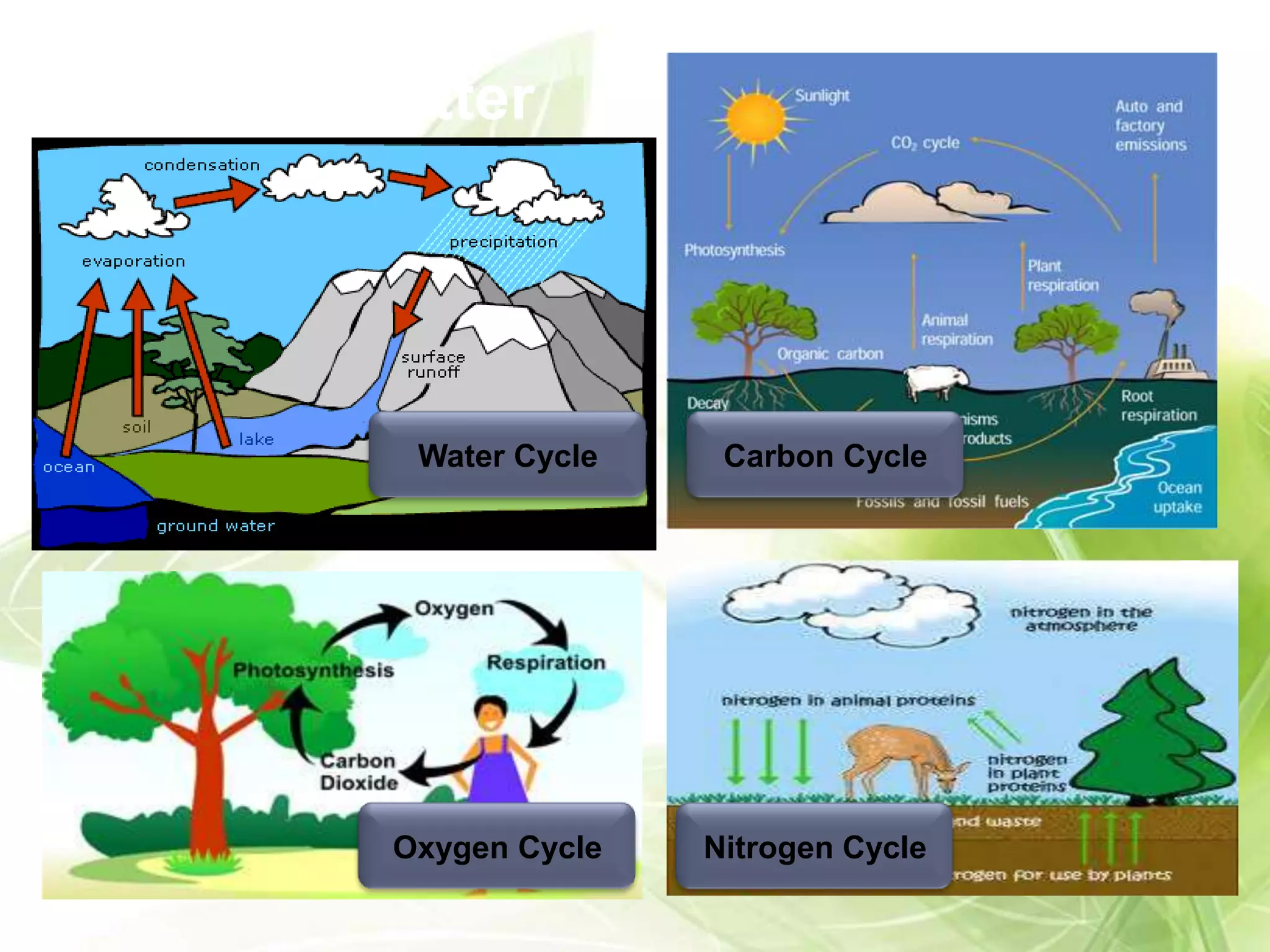 Cycles of Matter




            Water Cycle    Carbon Cycle




           Oxygen Cycle   Nitrogen Cycle
 