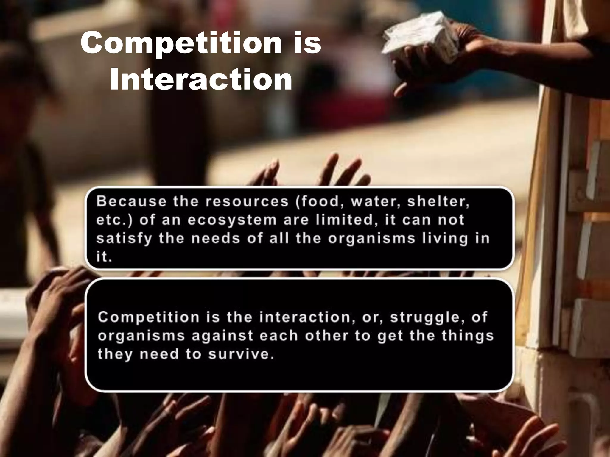 Competition is
 Interaction
 