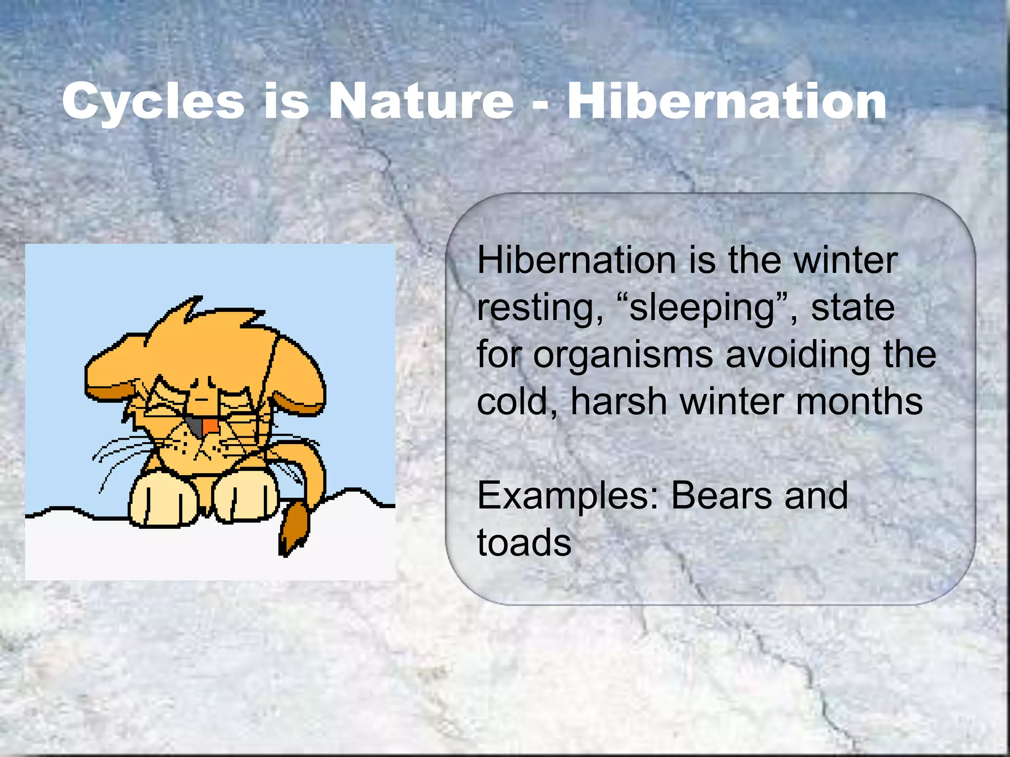 Cycles is Nature - Hibernation


               Hibernation is the winter
               resting, “sleeping”, state
               for organisms avoiding the
               cold, harsh winter months

               Examples: Bears and
               toads
 