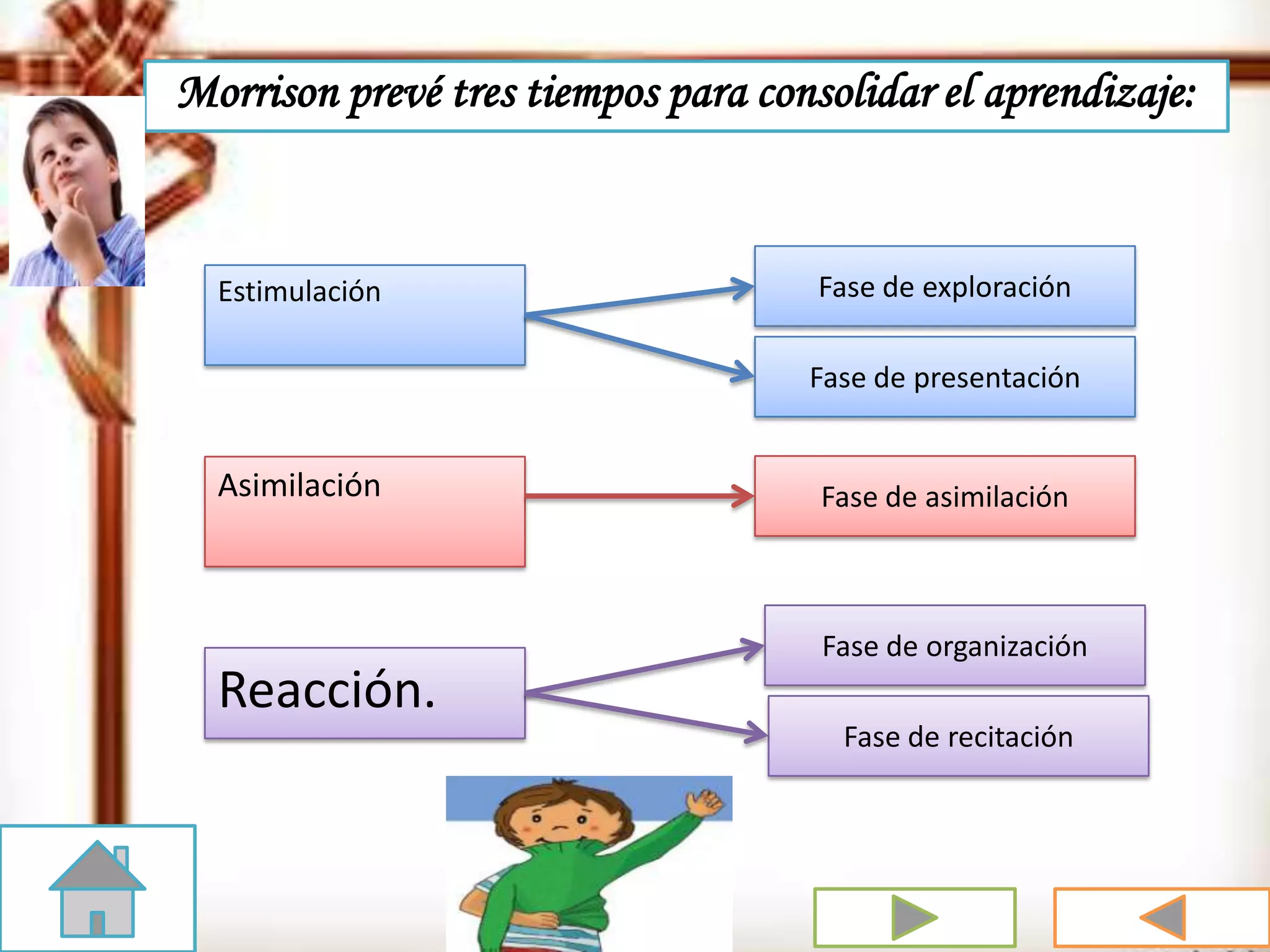 Morrison prevé tres tiempos para consolidar el aprendizaje:
Estimulación Fase de exploración
Fase de presentación
Fase de asimilación
Fase de organización
Fase de recitación
Asimilación
Reacción.
 