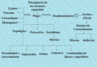 Psicogénesis de
                     las nociones
    Lejano            espaciales
 Próximo       describe            Por medio                     Junto   Acción y
                          Piaget               Desplazamientos con
Circundante                                                               Efecto
Homogéneo
                                                                  Fuentes de
                                                                 Conocimientos
       Topológico     Proyectivo Euclidiano

                                           Métrica            Directa    Indirecta



Proximidad o Separación        Orden           Clausura     Continuidad de
acercamiento                                              líneas y superficies
 