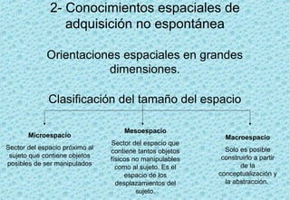 2- Conocimientos espaciales de
                 adquisición no espontánea

             Orientaciones espaciales en grandes
                        dimensiones.

              Clasificación del tamaño del espacio

                                    Mesoespacio
       Microespacio                                         Macroespacio
                                Sector del espacio que
Sector del espacio próximo al                               Solo es posible
                                contiene tantos objetos
 sujeto que contiene objetos                               construirlo a partir
                                físicos no manipulables
posibles de ser manipulados                                      de la
                                  como al sujeto. Es el
                                     espacio de los       conceptualización y
                                  desplazamientos del       la abstracción.
                                         sujeto.
 