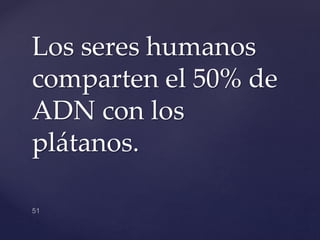 Los seres humanos
comparten el 50% de
ADN con los
plátanos.
 