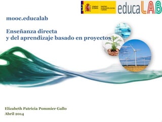 mooc.educalab
Enseñanza directa
y del aprendizaje basado en proyectos
Elizabeth Patricia Pommier Gallo
Abril 2014
 