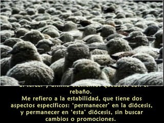 "El tercer y último elemento: quedarse con el
rebaño.
Me refiero a la estabilidad, que tiene dos
aspectos específicos: ‘permanecer’ en la diócesis,
y permanecer en ‘esta’ diócesis, sin buscar
cambios o promociones.
 