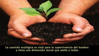 La cuestión ecológica es vital para la supervivencia del hombre
y tiene una dimensión moral que atañe a todos.
 
