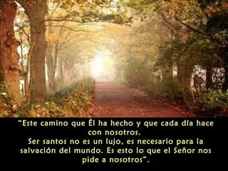 “Este camino que Él ha hecho y que cada día hace
con nosotros.
Ser santos no es un lujo, es necesario para la
salvación del mundo. Es esto lo que el Señor nos
pide a nosotros”.

 