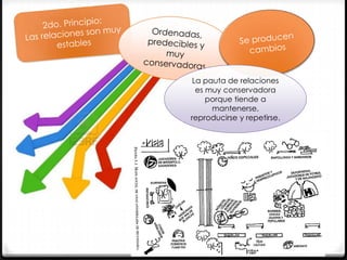 La pauta de relaciones
es muy conservadora
porque tiende a
mantenerse,
reproducirse y repetirse.

 