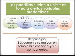 Las pandillas suelen a unirse en
torno a ciertas variables
predecibles:
1. El nivel
de
educación
de los
padres.

2. El nivel
de
ingresos
de los
padres.

3. La zona
de
residencia.

4. La
cultura y
la raza.

3er principio:
Básicamente se realizan en
torno a la clase social y sus
componentes.

5. La
lengua
hablada.

 