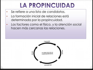 •
•
•

Se refiere a una lista de candidatos.
La formación inicial de relaciones está
determinada por la propincuidad.
Los factores como el físico, y la atención social
hacen más cercanas las relaciones.

 