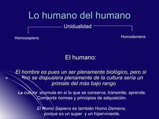 Lo humano del humano El humano: El hombre es pues un ser plenamente biológico, pero si no se dispusiera plenamente de la cultura sería un primate del más bajo rango Unidualidad Homosapiens Homodemens La  cultura   acumula en sí lo que se conserva, transmite, aprende. Comporta normas y principios de adquisición. El Homo Sapiens  es también H omo Demens,  porque es  un super  y un hiperviviente . 