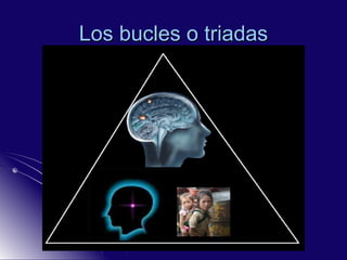 Los bucles o triadas 