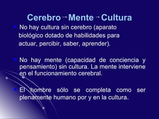 Cerebro  Mente  Cultura No hay cultura sin cerebro (aparato  biológico dotado de habilidades para  actuar, percibir, saber, aprender). No hay mente (capacidad de conciencia y pensamiento) sin cultura. La mente interviene en el funcionamiento cerebral. El hombre sólo se completa como ser plenamente humano por y en la cultura . 
