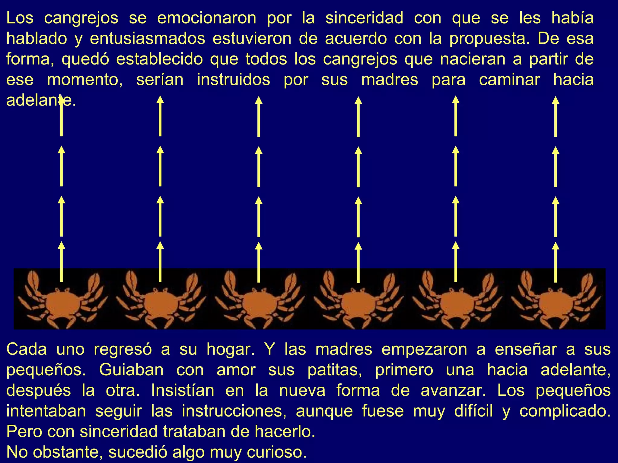 Los cangrejos se emocionaron por la sinceridad con que se les había
hablado y entusiasmados estuvieron de acuerdo con la propuesta. De esa
forma, quedó establecido que todos los cangrejos que nacieran a partir de
ese momento, serían instruidos por sus madres para caminar hacia
adelante.




Cada uno regresó a su hogar. Y las madres empezaron a enseñar a sus
pequeños. Guiaban con amor sus patitas, primero una hacia adelante,
después la otra. Insistían en la nueva forma de avanzar. Los pequeños
intentaban seguir las instrucciones, aunque fuese muy difícil y complicado.
Pero con sinceridad trataban de hacerlo.
No obstante, sucedió algo muy curioso.
 
