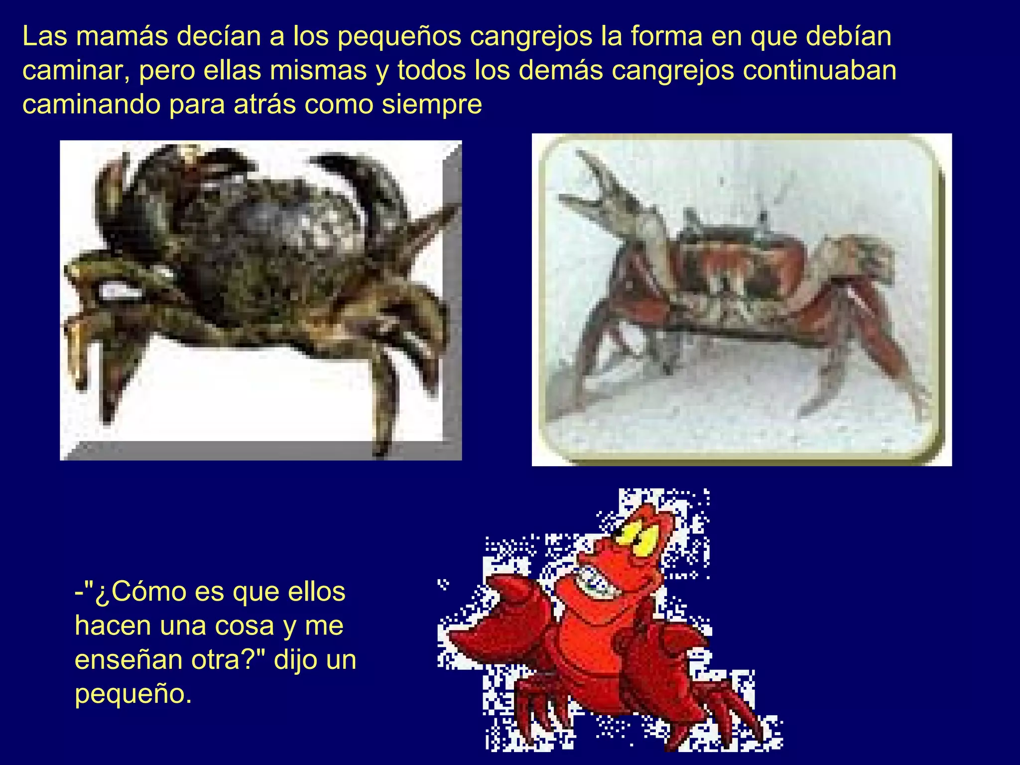 Las mamás decían a los pequeños cangrejos la forma en que debían
caminar, pero ellas mismas y todos los demás cangrejos continuaban
caminando para atrás como siempre




   -"¿Cómo es que ellos
   hacen una cosa y me
   enseñan otra?" dijo un
   pequeño.
 