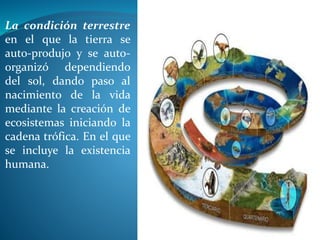 La condición terrestre
en el que la tierra se
auto-produjo y se auto-
organizó dependiendo
del sol, dando paso al
nacimiento de la vida
mediante la creación de
ecosistemas iniciando la
cadena trófica. En el que
se incluye la existencia
humana.
 