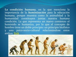 La condición humana, en la que menciona la
importancia de la hominización para la educación
humana, porque muestra como la animalidad y la
humanidad constituyen juntas nuestra humana
condición. La que representa un nuevo comienzo el
homínido se humaniza, por lo que el concepto de
hombre tiene un doble principio: un principio biofísico
y uno psico-socio-cultural relacionándose entre
ambos. link
 
