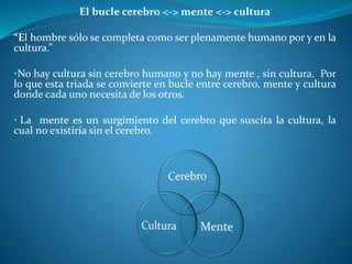 El bucle cerebro <-> mente <-> cultura
“El hombre sólo se completa como ser plenamente humano por y en la
cultura.”
•No hay cultura sin cerebro humano y no hay mente , sin cultura. Por
lo que esta triada se convierte en bucle entre cerebro, mente y cultura
donde cada uno necesita de los otros.
• La mente es un surgimiento del cerebro que suscita la cultura, la
cual no existiría sin el cerebro.
 