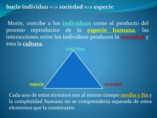 bucle individuo <-> sociedad <-> especie
Morin, concibe a los individuos como el producto del
proceso reproductor de la especie humana, las
interacciones entre los individuos producen la sociedad y
ésta la cultura.
individuo
especie sociedad
Cada uno de estos términos son al mismo tiempo medio y fin y
la complejidad humana no se comprendería separada de estos
elementos que la constituyen.
 