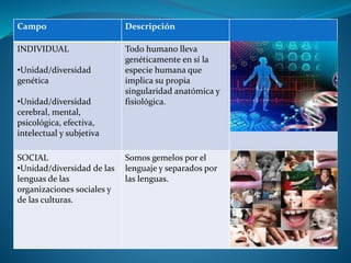 Campo Descripción
INDIVIDUAL
•Unidad/diversidad
genética
•Unidad/diversidad
cerebral, mental,
psicológica, efectiva,
intelectual y subjetiva
Todo humano lleva
genéticamente en sí la
especie humana que
implica su propia
singularidad anatómica y
fisiológica.
SOCIAL
•Unidad/diversidad de las
lenguas de las
organizaciones sociales y
de las culturas.
Somos gemelos por el
lenguaje y separados por
las lenguas.
 