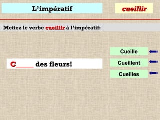 L’impératif

cueillir

Mettez le verbe cueillir à l’impératif:

Cueille

C_____ des fleurs!

Cueillent
Cueilles

 