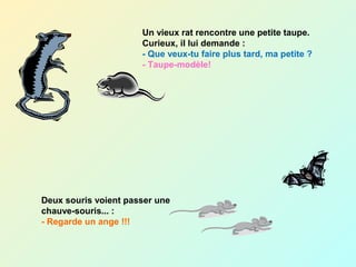 Un vieux rat rencontre une petite taupe.
Curieux, il lui demande :
- Que veux-tu faire plus tard, ma petite ?
- Taupe-modèle!
Deux souris voient passer une
chauve-souris... :
- Regarde un ange !!!
 