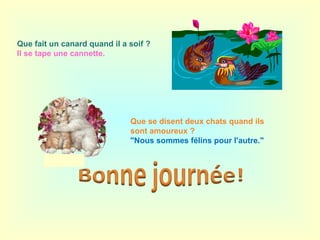 Que fait un canard quand il a soif ?
Il se tape une cannette.
Que se disent deux chats quand ils
sont amoureux ?
"Nous sommes félins pour l'autre."
 
