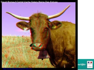 1-3 Les différents supports relief David Romeuf Cantal Vache Salers Reine Des Estives  http://www.stereauvergne.fr/albums 