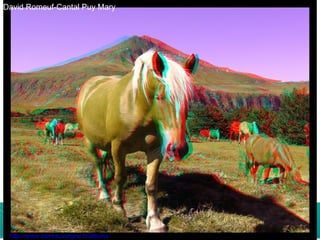 David Romeuf-Cantal Puy Mary http://www.stereauvergne.fr/albums 
