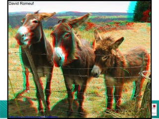 1-3 Les différents supports relief David Romeuf  http://www.stereauvergne.fr/albums 