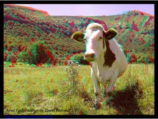1-3 Les différents supports relief Avec l’autorisation de David Romeuf  http://www.stereauvergne.fr/albums 
