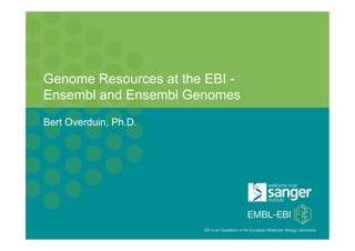 Genome Resources at the EBI -
     Ensembl and Ensembl Genomes
     Bert Overduin, Ph.D.




PAG XX, January 15th 2012, San Diego
                                       EBI is an Outstation of the European Molecular Biology Laboratory. 
EBI Database Workshop
 
