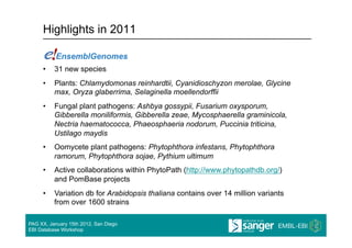 Highlights in 2011


     •    31 new species
     •    Plants: Chlamydomonas reinhardtii, Cyanidioschyzon merolae, Glycine
          max, Oryza glaberrima, Selaginella moellendorffii
     •    Fungal plant pathogens: Ashbya gossypii, Fusarium oxysporum,
          Gibberella moniliformis, Gibberella zeae, Mycosphaerella graminicola,
          Nectria haematococca, Phaeosphaeria nodorum, Puccinia triticina,
          Ustilago maydis
     •    Oomycete plant pathogens: Phytophthora infestans, Phytophthora
          ramorum, Phytophthora sojae, Pythium ultimum
     •    Active collaborations within PhytoPath (http://www.phytopathdb.org/)
          and PomBase projects
     •    Variation db for Arabidopsis thaliana contains over 14 million variants
          from over 1600 strains

PAG XX, January 15th 2012, San Diego
EBI Database Workshop
 