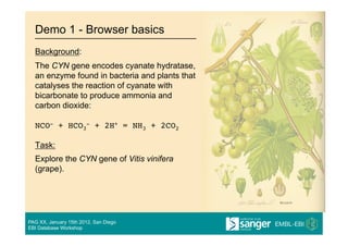 Demo 1 - Browser basics
  Background:
  The CYN gene encodes cyanate hydratase,
  an enzyme found in bacteria and plants that
  catalyses the reaction of cyanate with
  bicarbonate to produce ammonia and
  carbon dioxide:

  NCO- + HCO3- + 2H+ = NH3 + 2CO2

  Task:
  Explore the CYN gene of Vitis vinifera
  (grape).




PAG XX, January 15th 2012, San Diego
EBI Database Workshop
 
