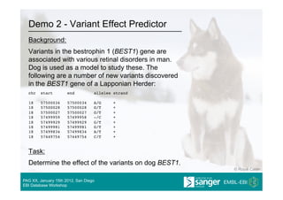 Demo 2 - Variant Effect Predictor
  Background:
  Variants in the bestrophin 1 (BEST1) gene are
  associated with various retinal disorders in man.
  Dog is used as a model to study these. The
  following are a number of new variants discovered
  in the BEST1 gene of a Lapponian Herder:
  chr   start         end          alleles strand

  18    57500034      57500034     A/G     +
  18    57500028      57500028     G/T     +
  18    57500027      57500027     G/T     +
  18    57499959      57499958     -/C     +
  18    57499929      57499929     G/T     +
  18    57499981      57499981     G/T     +
  18    57499834      57499834     A/T     +
  18    57449754      57449754     C/T     +


  Task:
  Determine the effect of the variants on dog BEST1.
                                                       © Royal Canin

PAG XX, January 15th 2012, San Diego
EBI Database Workshop
 