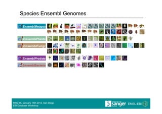Species Ensembl Genomes




PAG XX, January 15th 2012, San Diego
EBI Database Workshop
 