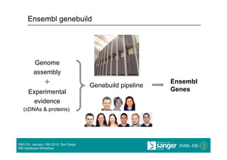 Ensembl genebuild




         Genome
         assembly
                +                      Genebuild pipeline
                                                            Ensembl
      Experimental                                          Genes
       evidence
   (cDNAs & proteins)




PAG XX, January 15th 2012, San Diego
EBI Database Workshop
 