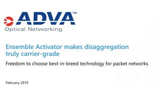 February 2019
Freedom to choose best-in-breed technology for packet networks
Ensemble Activator makes disaggregation
truly carrier-grade
 
