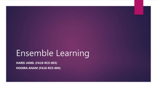 Ensemble Learning
HARIS JAMIL (FA18-RCS-003)
HOOIRA ANAM (FA18-RCS-004)